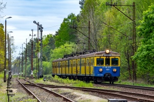 EN71-049: Damnica
