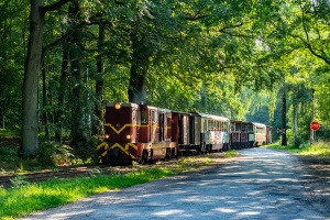 Lxd2-472: Popiele