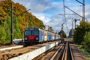 ED72-007: Sycewice