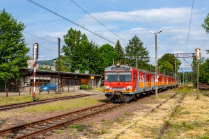 ED72-008: Żywiec Sporysz