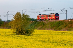 SN83-003: Podłęże SN83-003: Podłęże