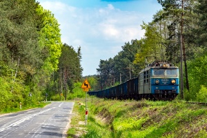 ET42-005: Bąkowiec - Sieciechów