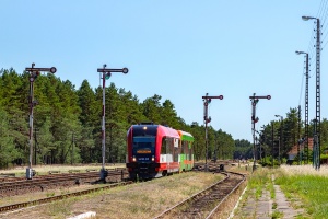 SA123-001: Bąk
