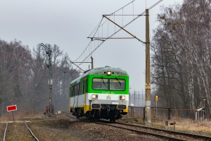 VT627-101: Gostynin