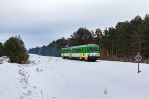 VT628-009: Czeremcha - Borowiki