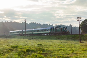 SM42-067: Sokoły