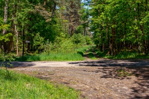 Resko-Gościno: Kepieniec - Puszczyki
