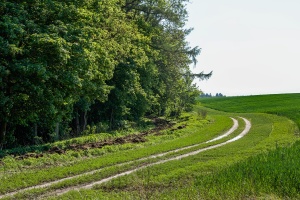 Resko-Gościno: Trzynik