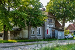 Paprotno