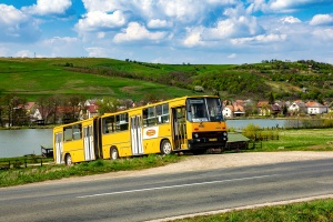 Ikarus 280.33 #BHK-483: Nagyvisnyó 
