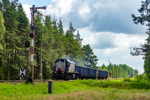 TEM2-310: Podborsko
