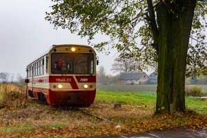 MBxd2-212: Tuja