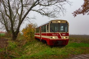 MBxd2-212: Tuja