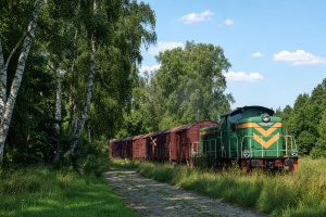 SM42-330: Łowyń