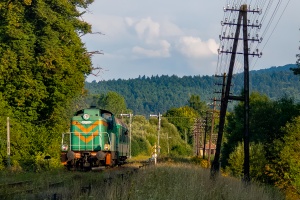 SM42-358: Szczawne Kulaszne SM42-358: Szczawne Kulaszne