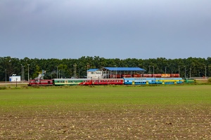 SM42-539: Wierzbno