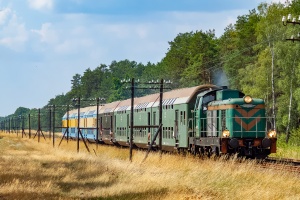 SM42-542: Wieleń Północny - Biernatowo