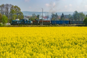 SM42-578+1031: Krzeszowice