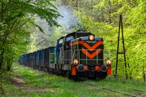 SM42-1031+578: Krzeszowice - Zalas