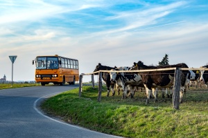 Ikarus 260.32 #DW 38E: Svatbín - Brník Ikarus 260.32 #DW 38E: Svatbín - Brník