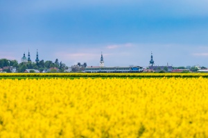 754 026: Głogówek - Twardawa
