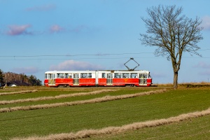 803N #2: Konstantynów Łódzki, ul. Lutomierska