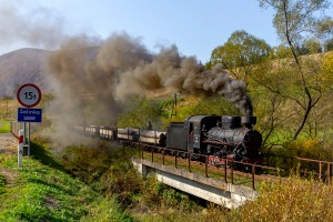 Kp4-3772: Solinka - Żubracze