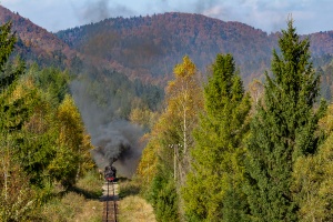 Kp4-3772: Dołżyca - Krzywe