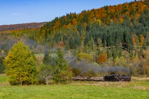 Kp4-3772: Dołżyca - Krzywe