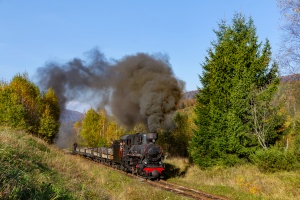 Kp4-3772: Dołżyca - Krzywe