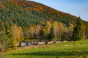 Kp4-3772: Krzywe - Dołżyca