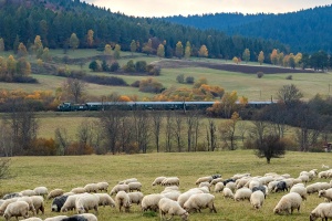 SU42-536: Osławica - Nowy Łupków
