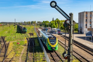 222M-001: Czeremcha