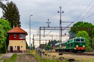 SU45-089: Płytnica
