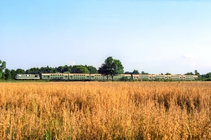 ST43-195: Kamień Mały - Witnica