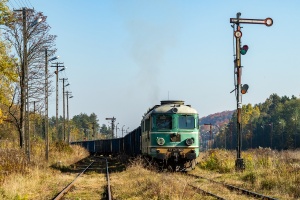 ST43-366: Werchrata