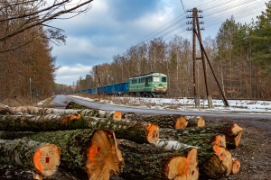 ST43-366: Dziewięcierz - Horyniec-Zdrój