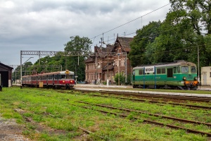 ST43-397: Wronki ST43-397: Wronki
