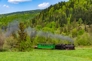 Kp4-3772: Dołżyca - Krzywe