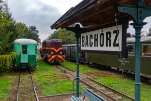 Lxd2-268: Bachórz Lxd2-268: Bachórz