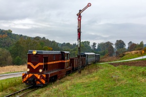 Lxd2-268: Jawornik Polski Lxd2-268: Jawornik Polski