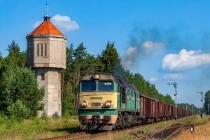 ST44-1113: Lipowa Tucholska ST44-1113: Lipowa Tucholska