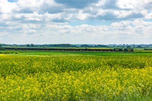 ST44-2037+2049: Werbkowice - Miączyn LHS