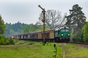 ST44-282: Narewka