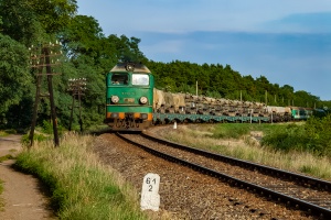 ST44-717: Brzozowiec - Deszczno ST44-717: Brzozowiec - Deszczno