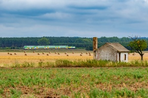 EU47-005: Laski Lubuskie - Górzyca