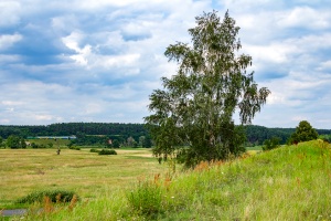 SU45-174: Stare Bielice - Nowe Drezdenko