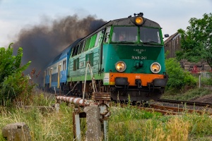 SU45-241: Kamień Mały - Witnica
