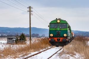 SU46-004+SM42-1142: Kadyny - Tolkmicko SU46-004+SM42-1142: Kadyny - Tolkmicko