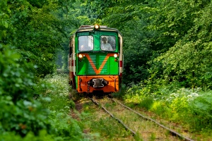 Lyd-1-252: Lipie - Starachowice Wschodnie Wąskotorowe